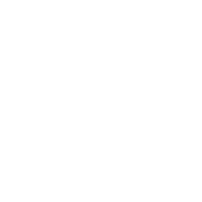 Iris Ceramica